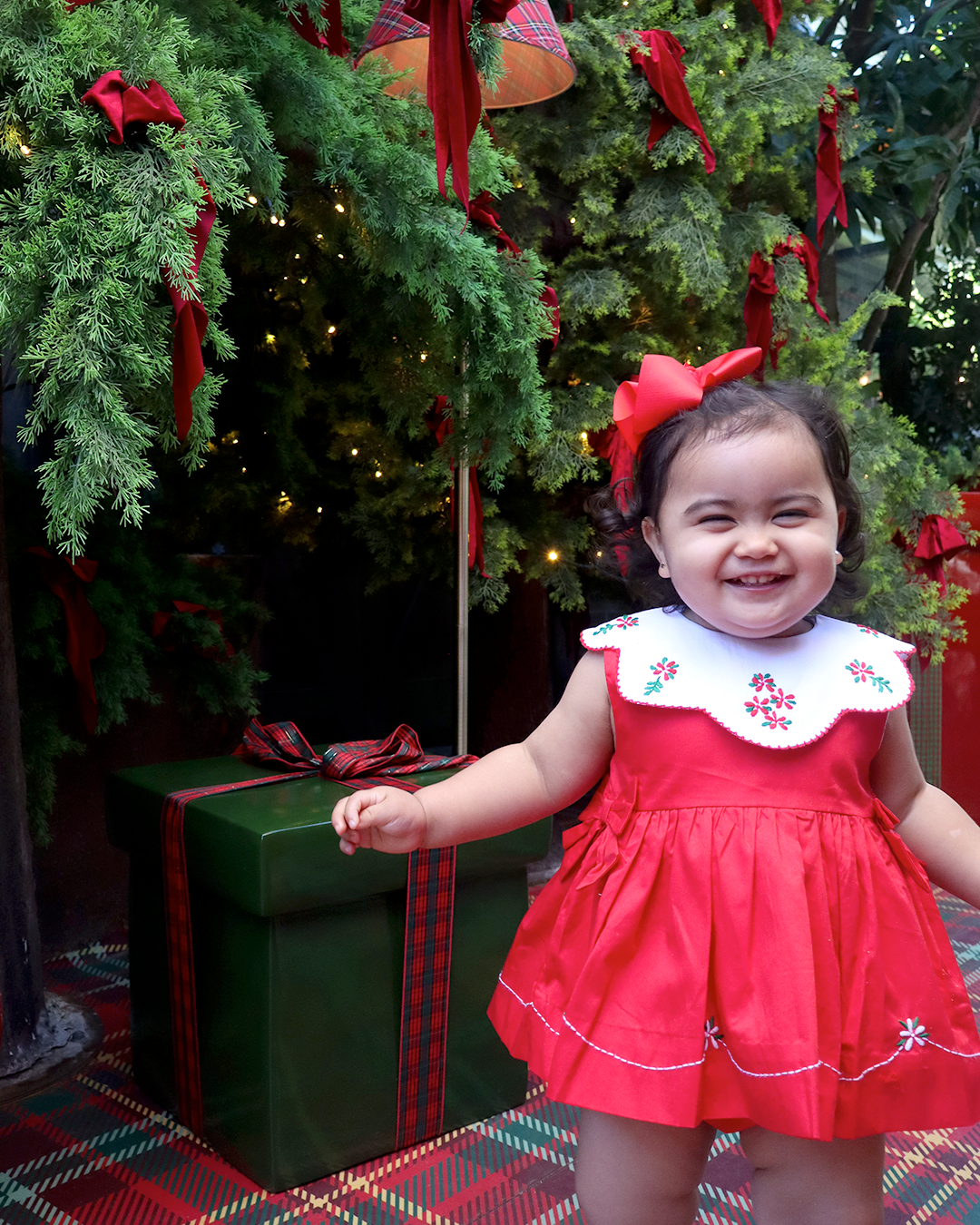 Holly Joy Dress