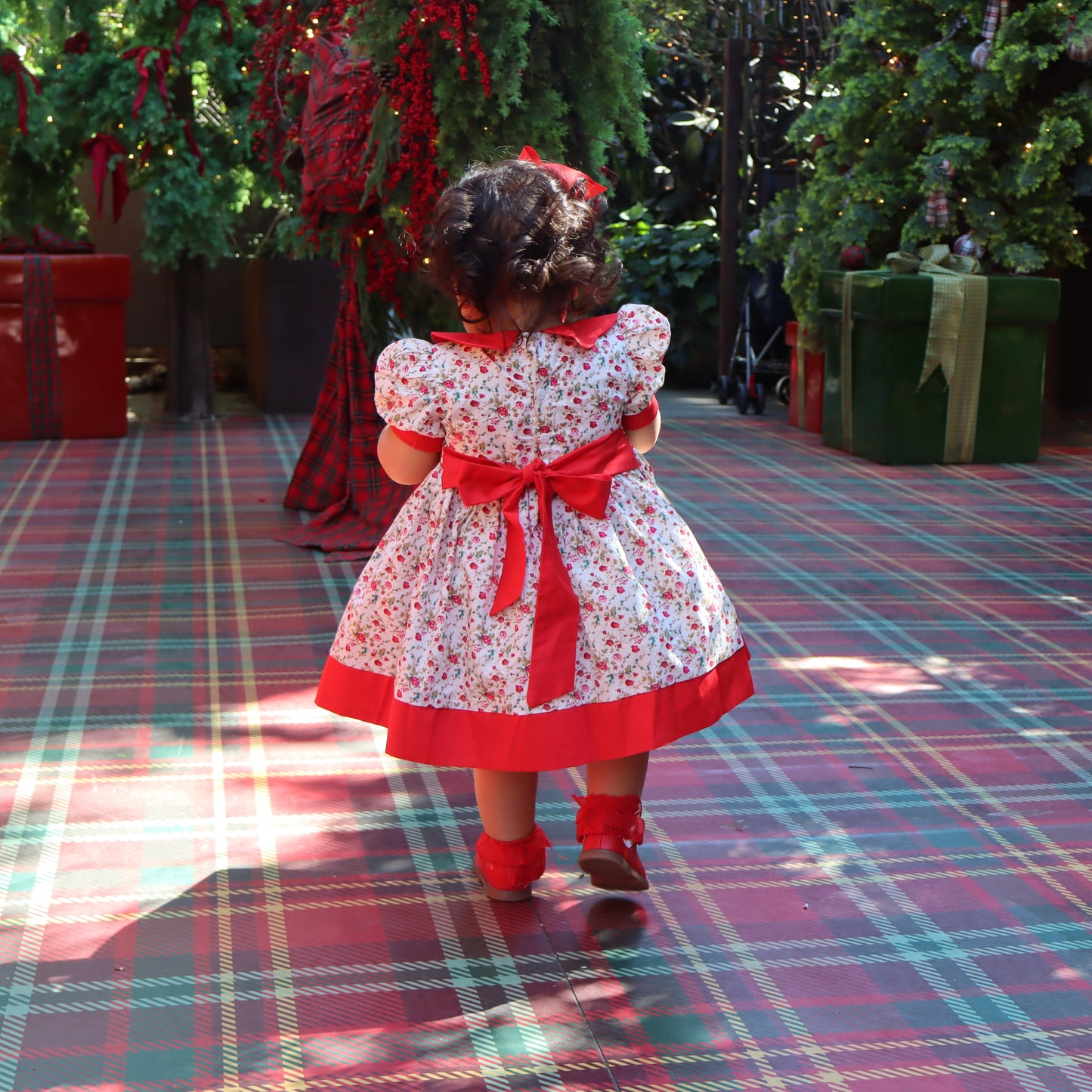 Rosa Encantada Dress