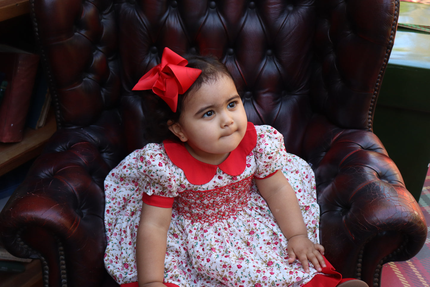 Rosa Encantada Dress