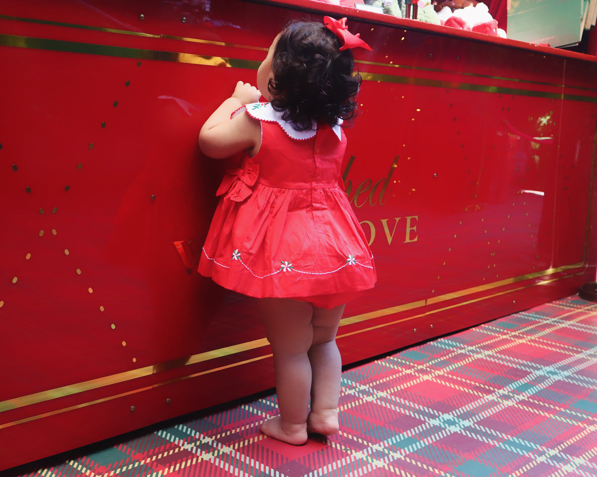 Holly Joy Dress set