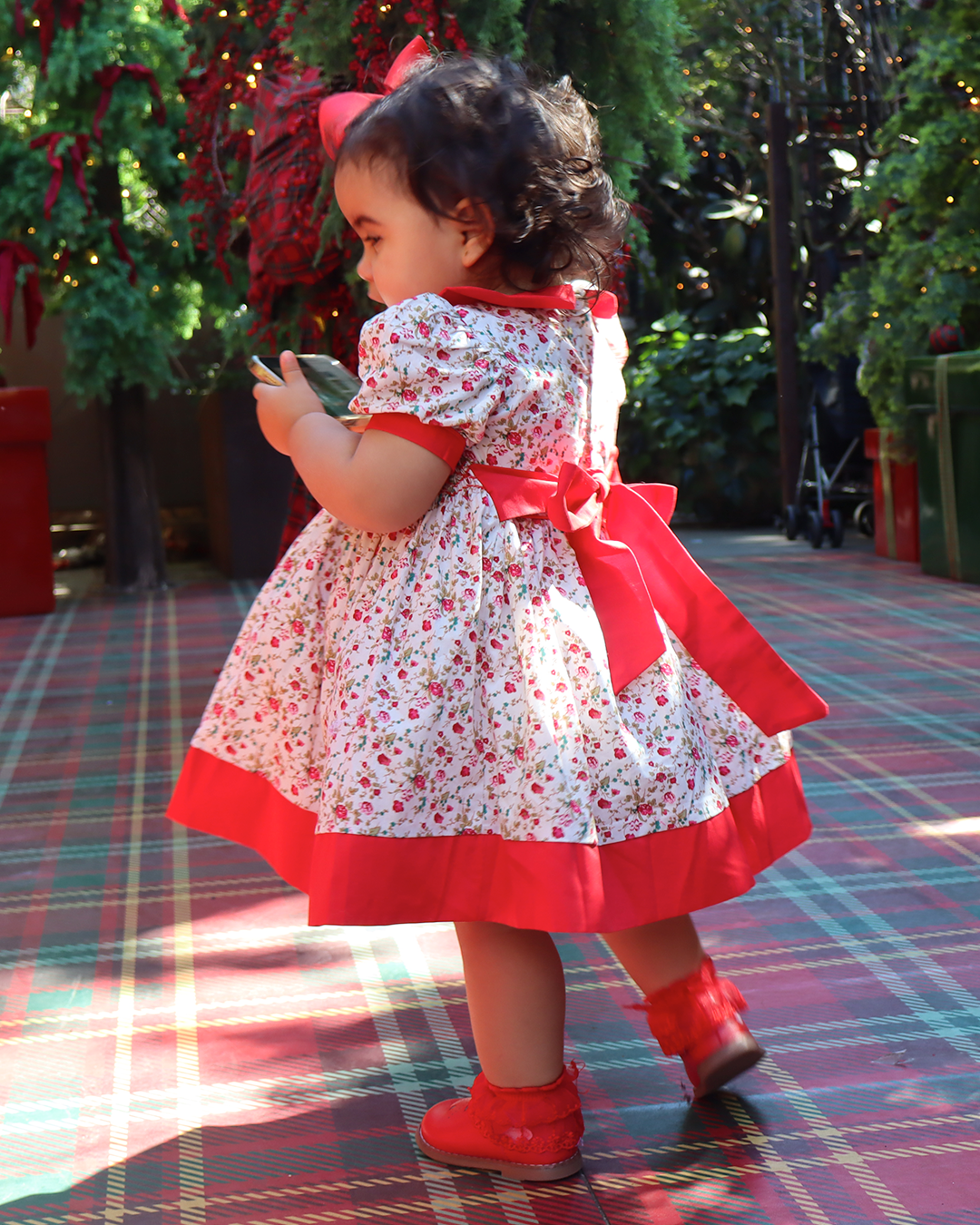 Rosa Encantada Dress
